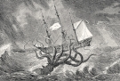 illustration of a kraken